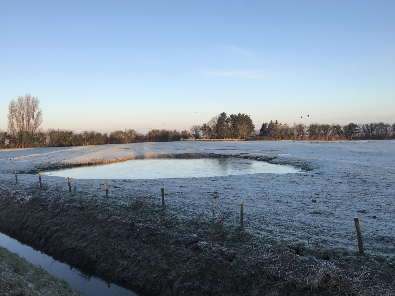 Pond